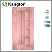 Veneer Skin Door with Design (door skin)